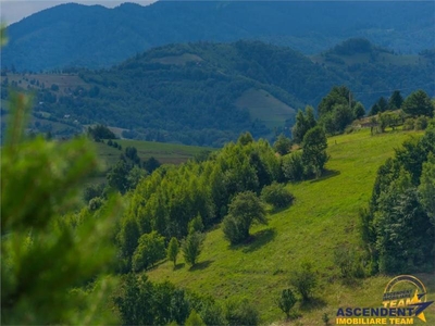 Oaza de liniste si frumusete, reconectare cu natura, 16.000 mp, Poiana Marului