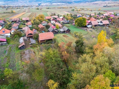 Pe teren generos, casa traditionala, Lutoasa, Judetul Covasna