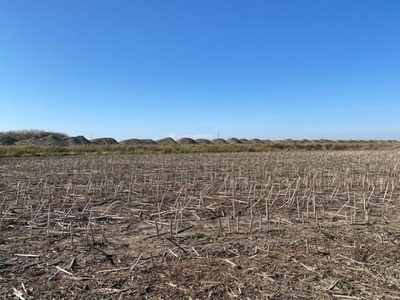 Teren agricol in Zona Sagului