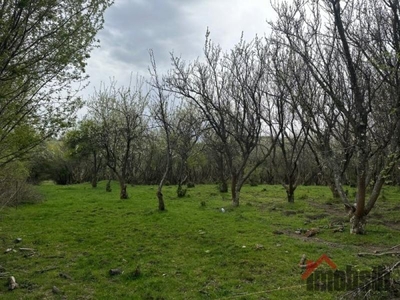 Teren agricol de vanzare in Cisnadie