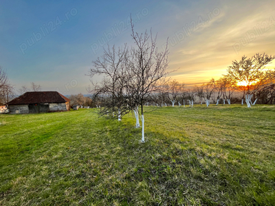 Teren intravilan, Teren pentru casă, 6000 m2, Borod, Bihor