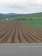 Vand 2650 mp teren in Com. Bogdanesti Bc, la 7 km distanta de Onesti