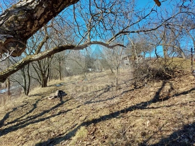 Vând teren intravilan în Sâncraiu, Cluj