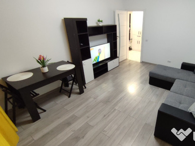 Apartament 1 cameră - Brown Luxury