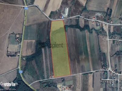 Sapient | Teren de 100.000 mp în loc. Păușa, Nojorid