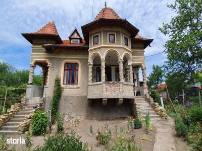 Casa stil Conac | Casa de Vacanta, Mioveni, Arges