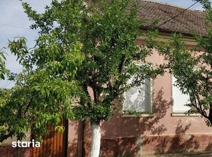 Casa de Vanzare in Sanmartinul Sarbesc