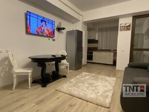 Inchiriere Apartament Centru 1 Camere