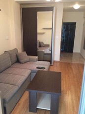 Inchiriere Apartament Copou 1 Camere