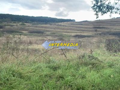 Teren intravilan de vanzare in suprafata de 1248 mp Teleac cu utilitati panorama deosebita