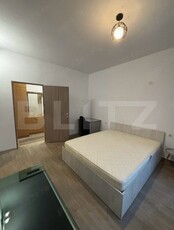 Apartament 1 camera, 34 mp, Hlincea