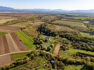 Moara de vanzare in Aldesti