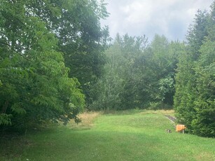 Teren Firiza, Maramures Vand teren intravilan in cartierul Fi