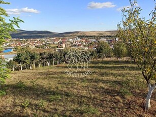 Teren intravilan 730 mp-livada-vedere panoramica-Valea Sigmirului