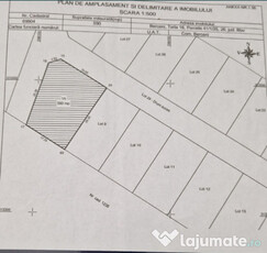Teren intravilan Comuna Berceni 590mp (utili)