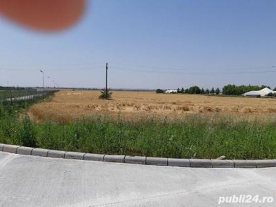 Teren strada Henry Ford