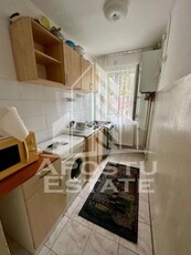 Apartament o camera, pet-friendly, centrala proprie, Sagului