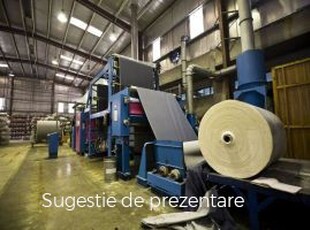 Vanzare spatiu industrial, Ganeasa, Ganeasa