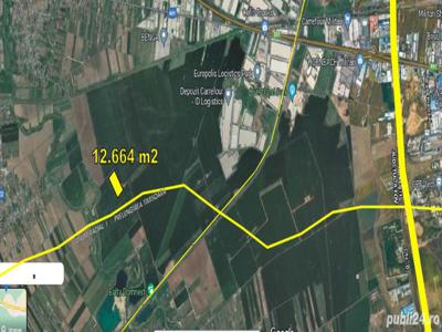 12.664 m2 teren Domnesti (Ilfov) Tarla 5