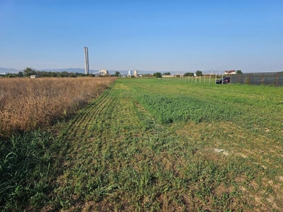 Teren de vanzare in Letea Veche, 3000 mp, industrial