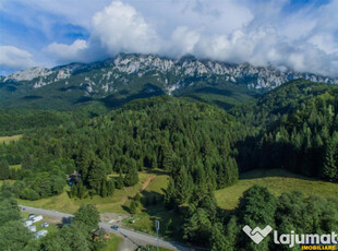 3 Hectare, teren cu privelisti memorabile, la poalele Masivu