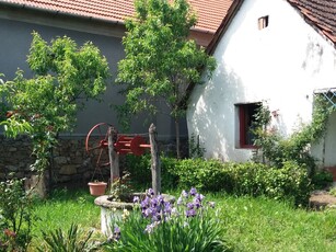 Casa Ghioroc, judetul Arad Vand in Ghioroc casa veche 3 came