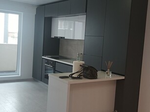 Inchiriere apartament 3 camere Berceni, Metalurgiei, Drumul Binelui