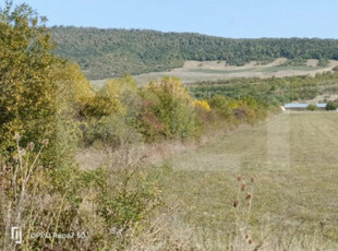 Teren Intravilan de vanzare, 4.900 mp, zona parcului Industr