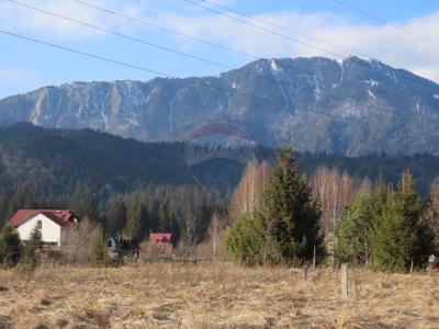 Teren Construcții, Intravilan vanzare, in Brasov, Timisu de Sus