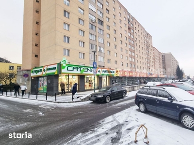 Apartament 2 camere zona Primaverii , parter cu extindere