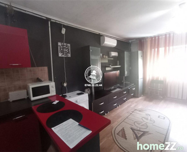 Apartament 1 camera Visani