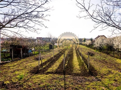 RECO Teren Zona Bihorului, Oradea