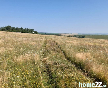 Teren 5000 mp de vanzare in satul Rusciori la 8 km de Sibiu