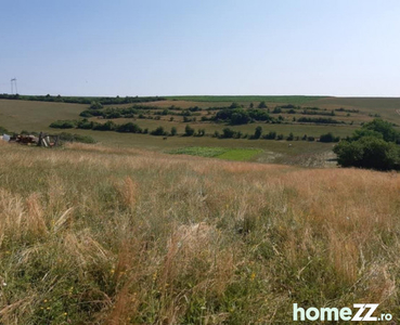 Teren 9300 mp in Rusciori la 10 km de orasul Sibiu