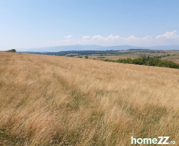 Teren agricol de vanzare in Sibiu zona Centrului de echitati