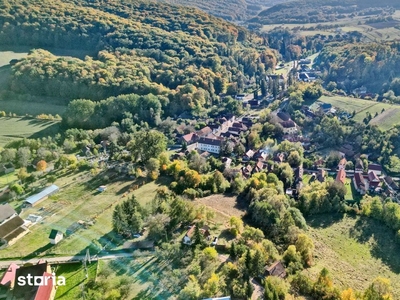 3 camere, mobilat modern, in zona Lipovei - Padurea Verde