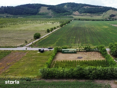 Teren Pentru Constructii/Utilitati/Gard Viu