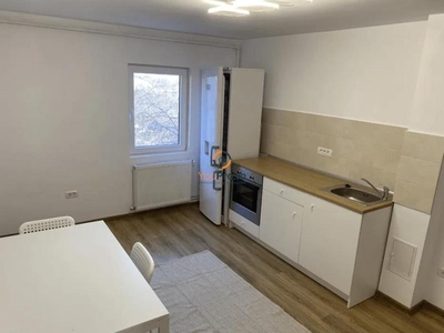 Apartament 2 camere Buziasului