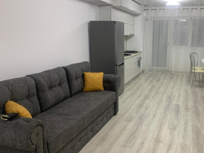 Apartament, 2 camere, , mp , Copou, de inchiriat, Aleea Sadoveanu - Mega Image