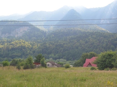 Teren intravilan situat in Busteni