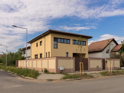 Casa Henri Coanda, casa spatioasa si eleganta in inima carti