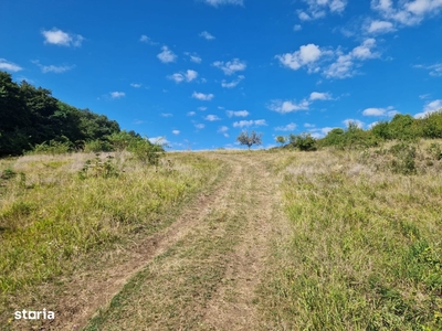 Teren arabil de 630 hectare în Galați