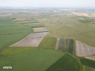 Teren arabil de 40 hectare în Zarand