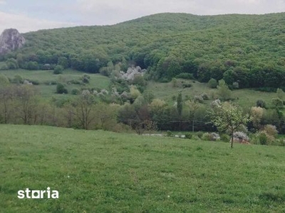 Casa moderna, calitate premuim, constructie noua, Zona Raului/Spital