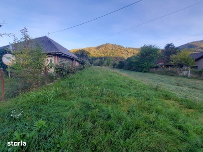 AZURA Imobiliare - Casa Merisani zona Primarie, Panouri fotovoltaice