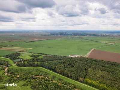 Teren arabil de 985 hectare în Bihor