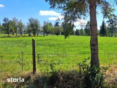 Vand doua terenuri de cate 500 mp, in Dealu Negru (Calatele)