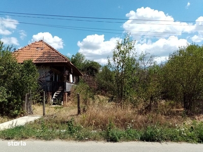 vand teren intra si extravilan in localitatea Curtisoara , jud Gorj