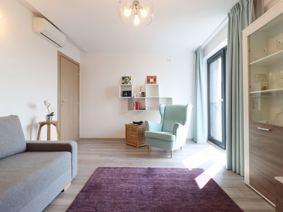 Inchiriere apartament 2 camere Piata Victoriei, Apartamentul AMIKA