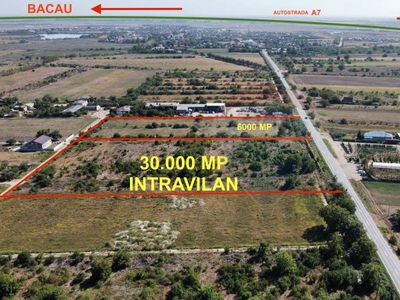 Lot 6000mp intravilan langa A7